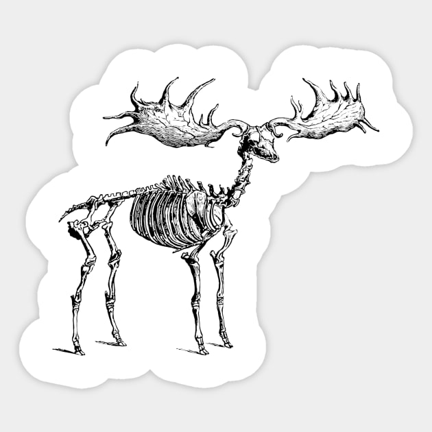 Moose Skeleton Sticker by KnuckleTonic